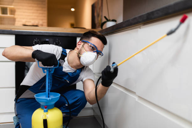 Best Exterminator Services  in Ashland, VA
