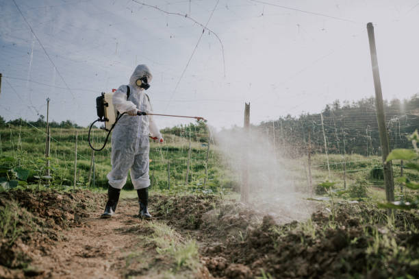 Best Best Pest Control Companies  in Ashland, VA