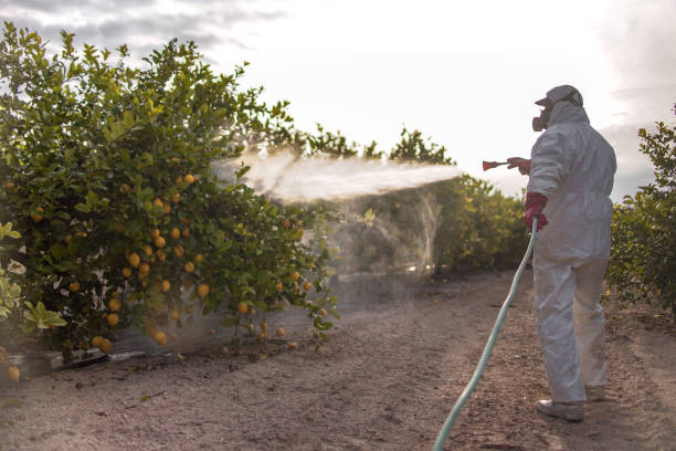 Best Emergency Pest Control  in Ashland, VA