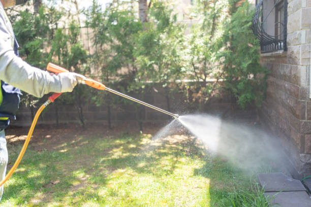 Best Rat Extermination Near Me  in Ashland, VA