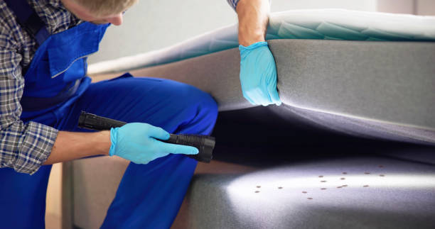 Best Affordable Pest Control Services  in Ashland, VA