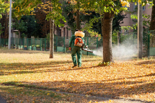 Bird Control in Ashland, VA