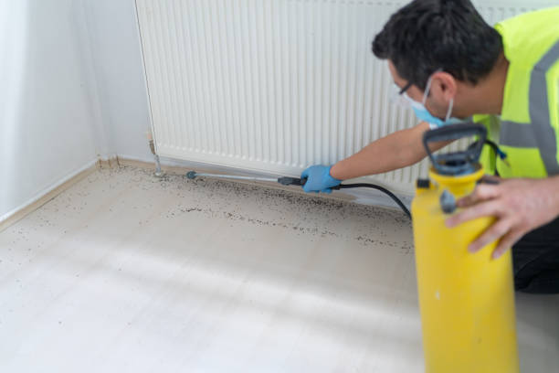 Best Commercial Pest Control Services  in Ashland, VA